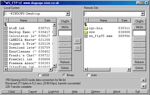 Local and Remote System window